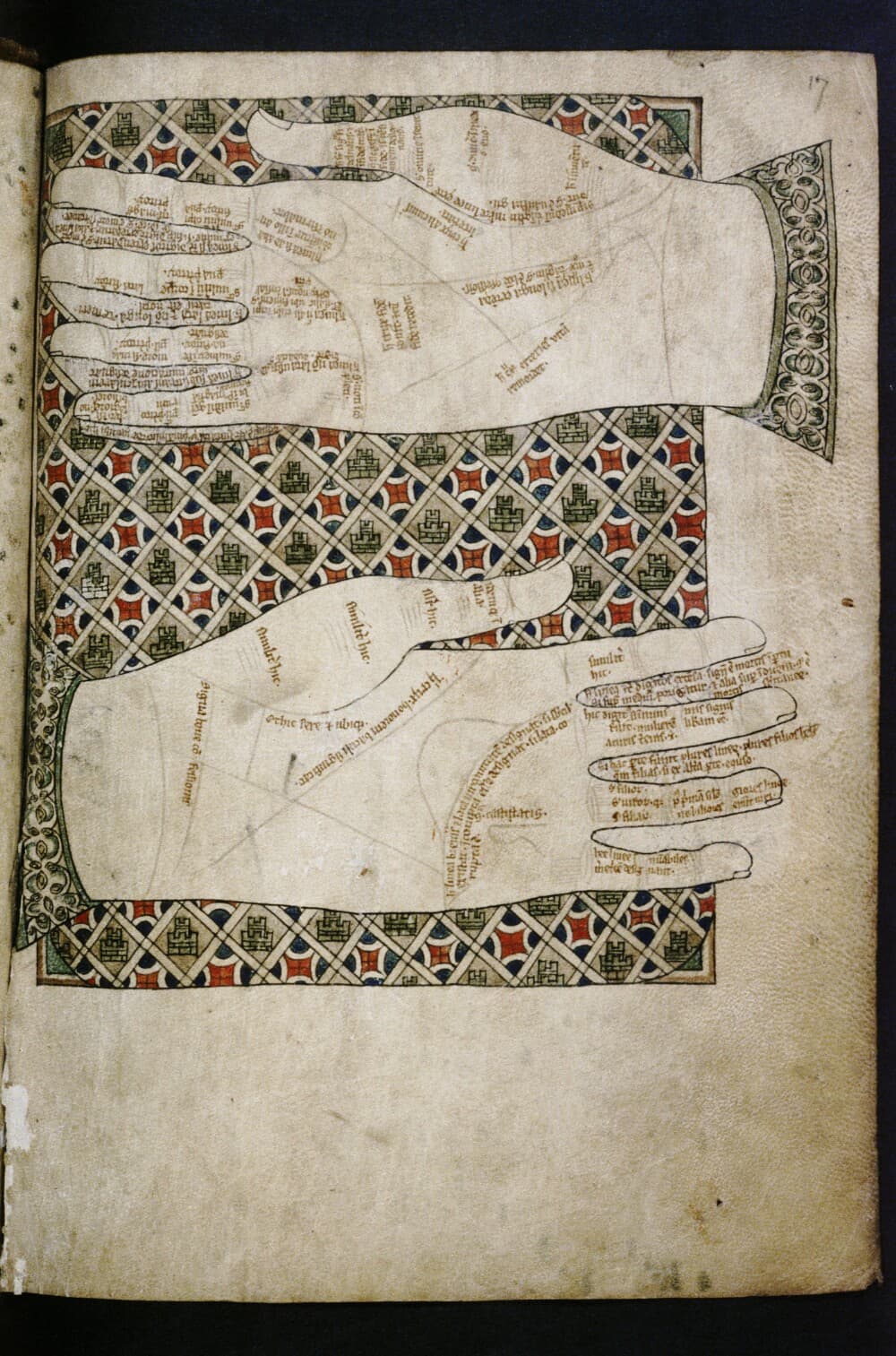 Medical-Astrological Compendium with Anatomical Illustrations