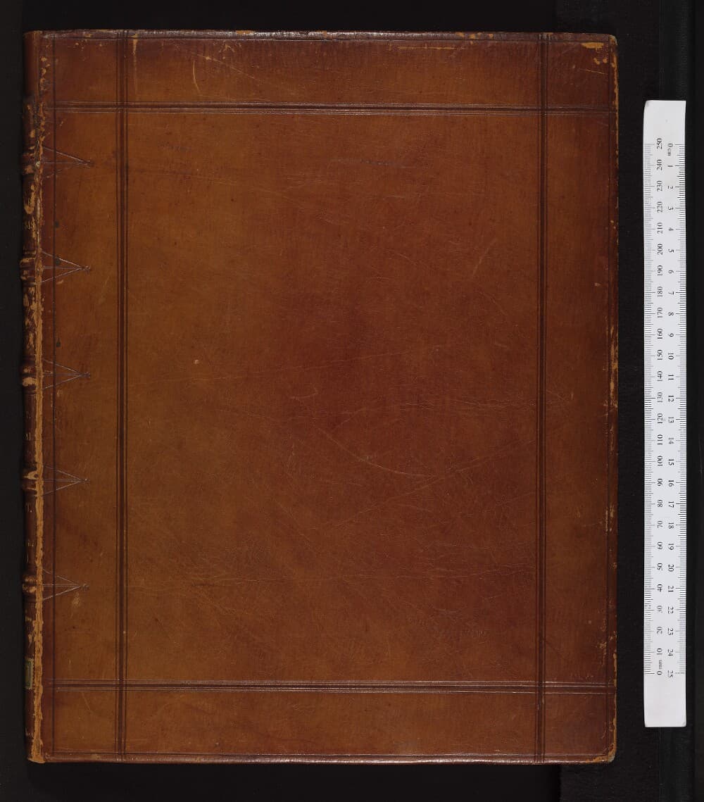 Genesis Fragment (Uncial)