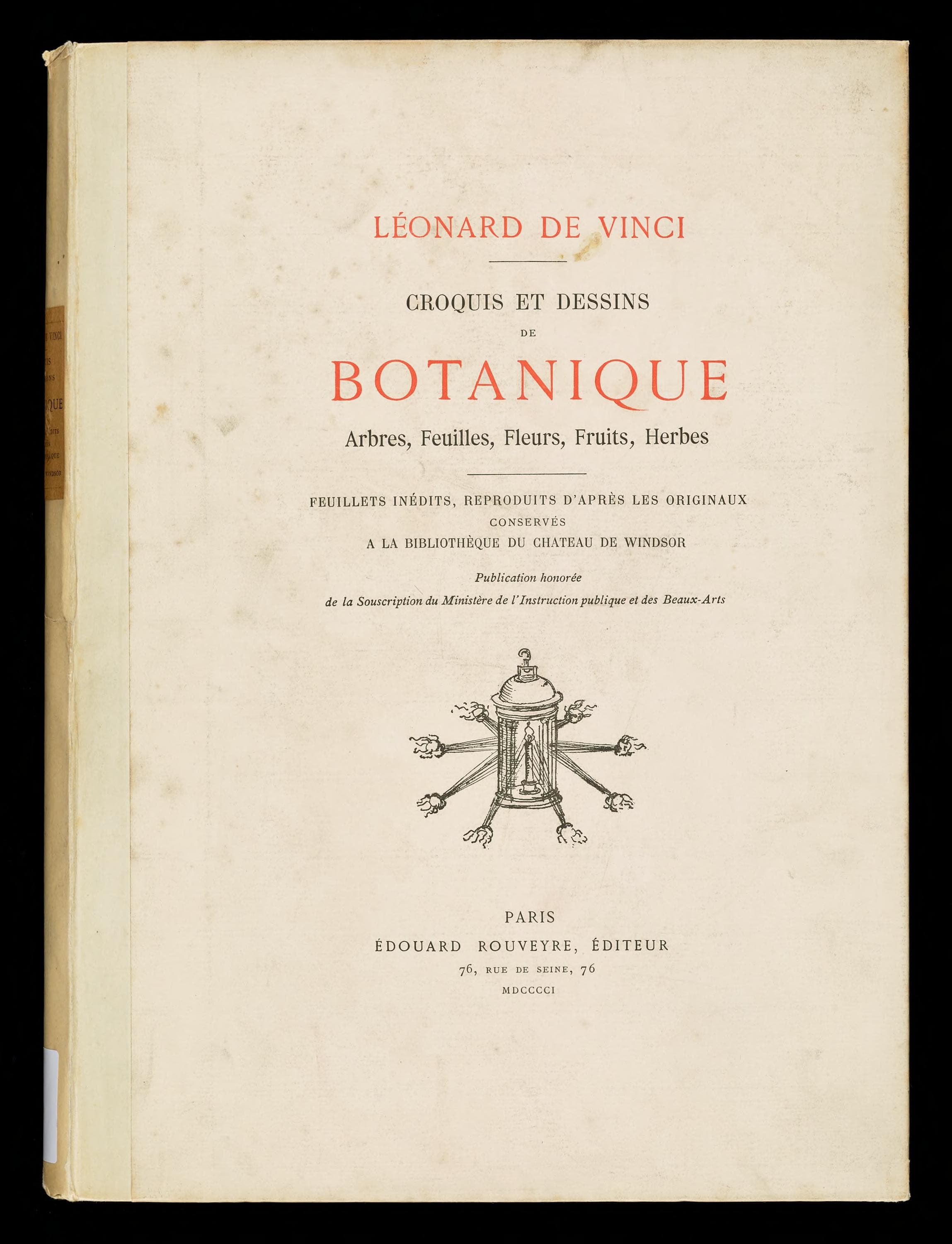 Croquis et dessins de botanique