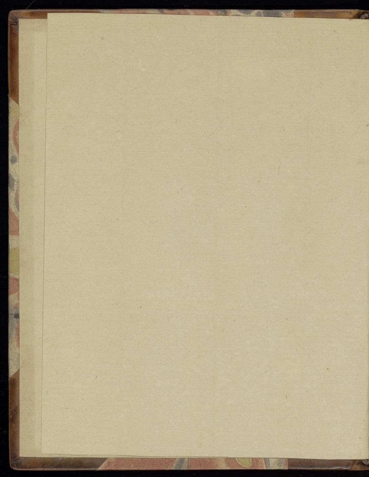 40 questions concerning the soule. Propounded by dr. Balthasar Walter