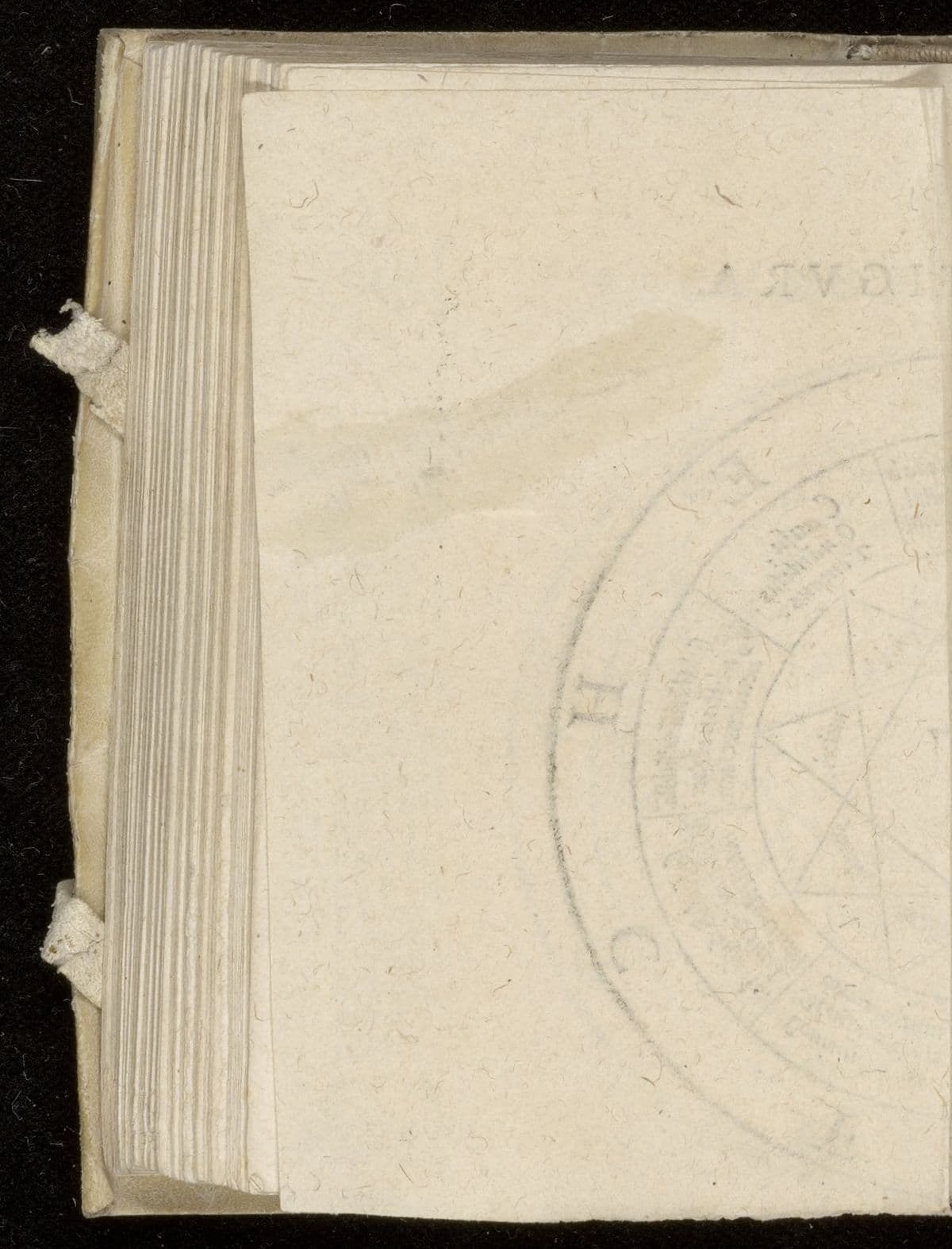 Articuli fidei sacrosanctae