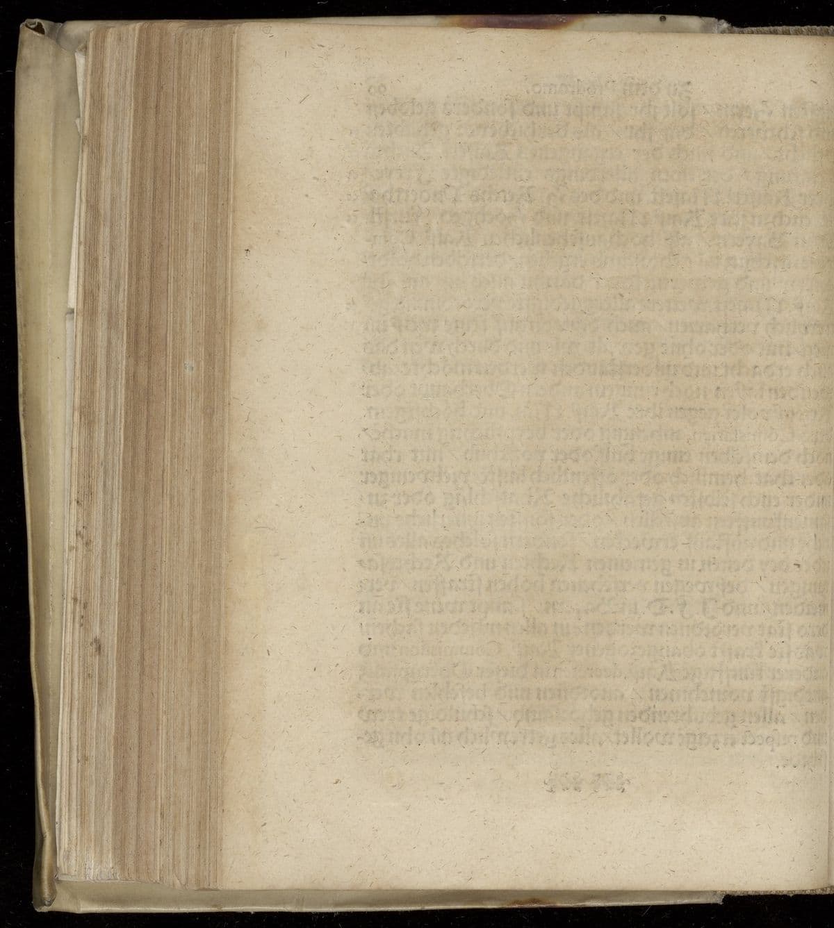 Bericht und Antwort, off die vornembste Capita, Päsz, und Puncten der Bayer-Anhaltischen geheimen Cantzley