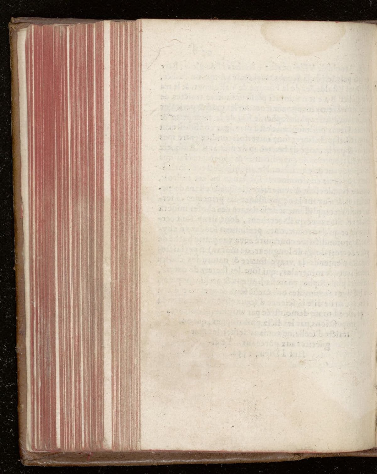 Des choses merveilleuses en nature