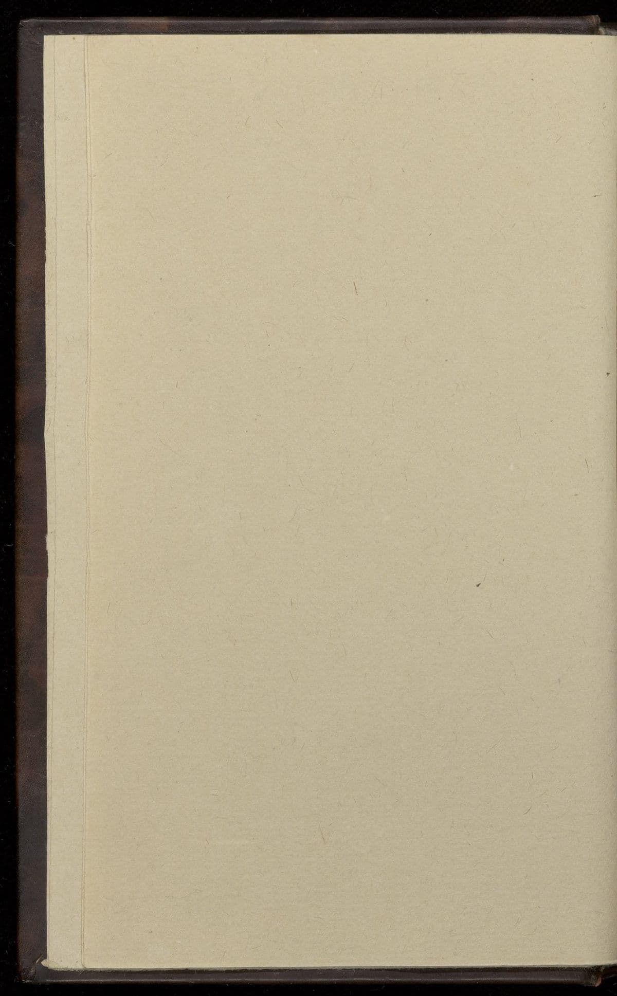 Commentariorum in Johannis Apocalypsin