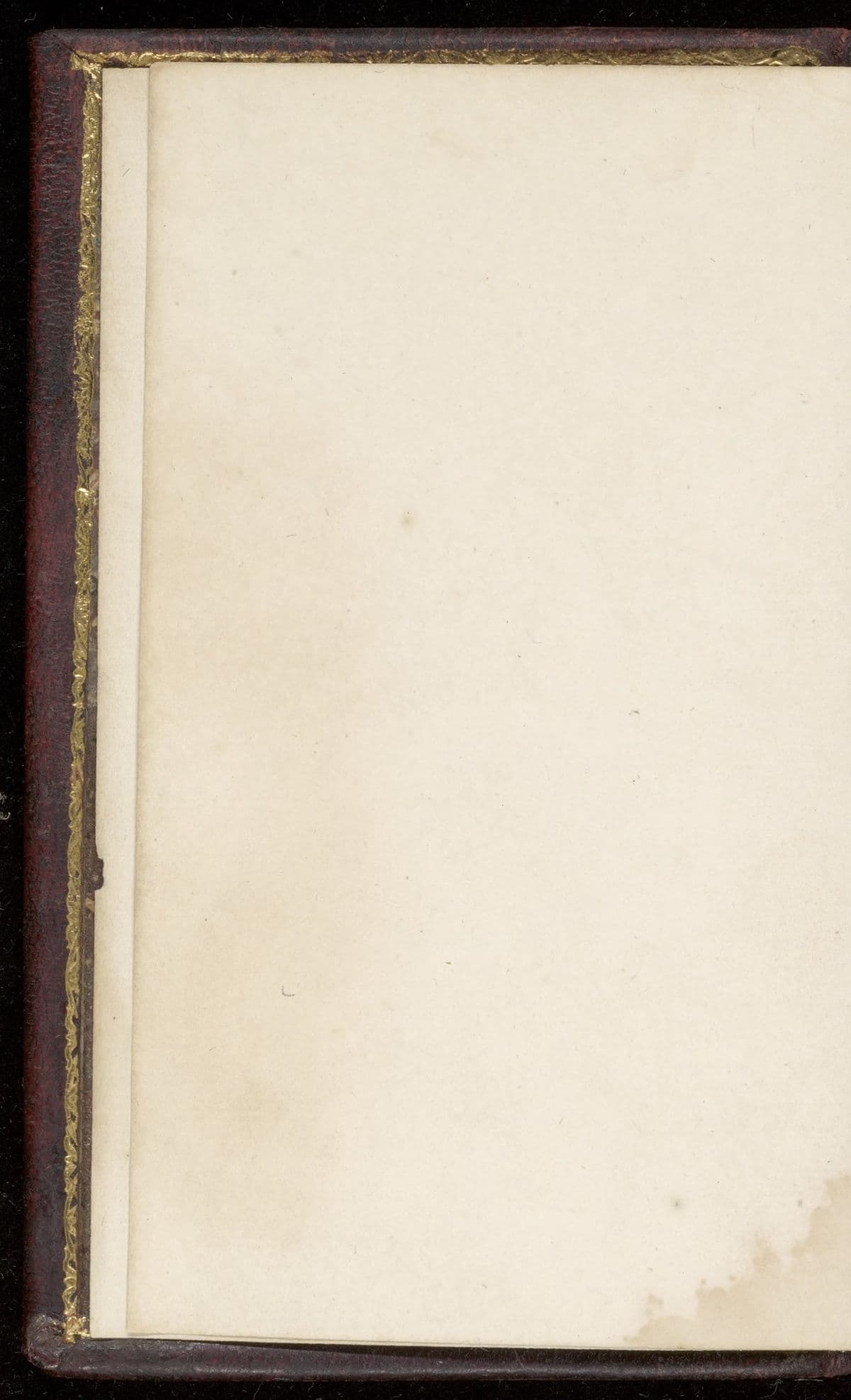 Fama remissa ad fratres Roseae crucis. Antwort auff die Famam und Confessionem der löblichen Brüderschafft vom RosenCreutz