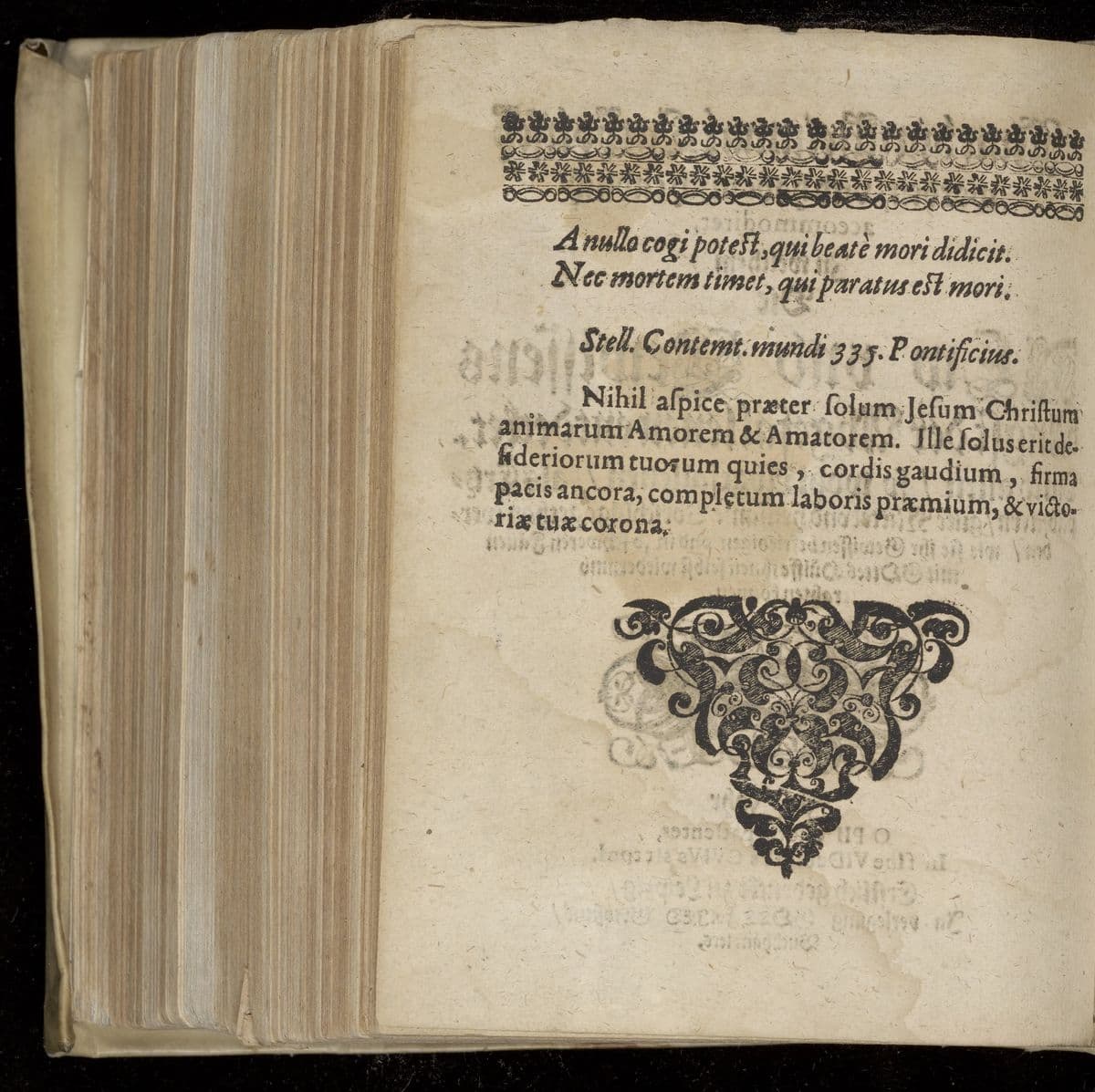 Nun bin ich einmal catholisch worden, und habe mich endlich accommodiret