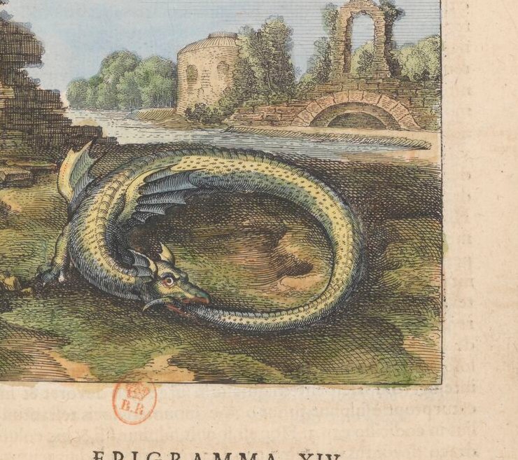 Ouroboros Dragon