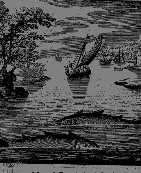 Seascape with sailing ship and coastal city, from Musaeum Hermeticum (1678)