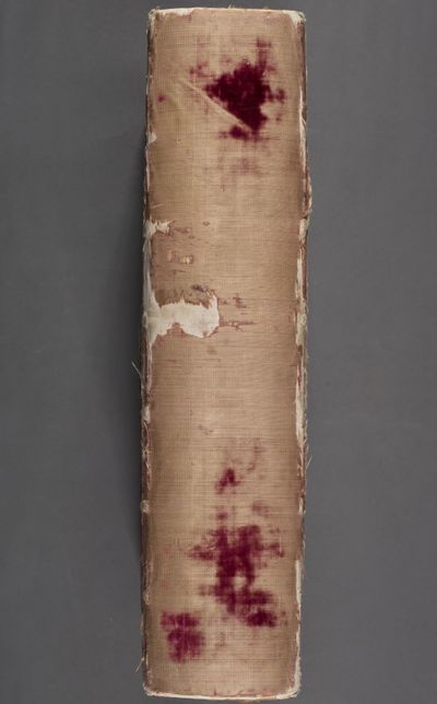 Comento sopra la Commedia di Dante